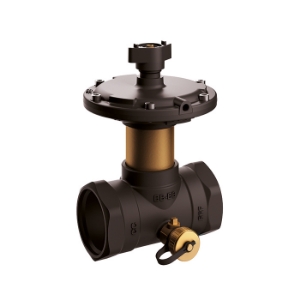 Bild von Flamco - comap - Passim DN 50 2" IG 20-40kPa m. ELE, Art.Nr. : MN80597.581